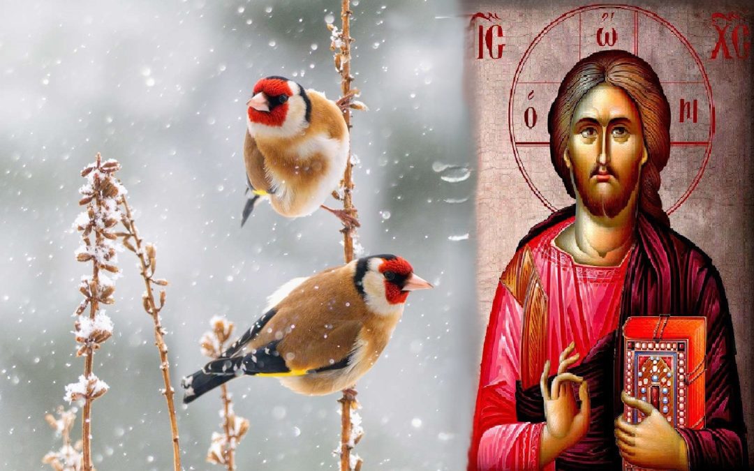 Τί μεριμνᾶτε;