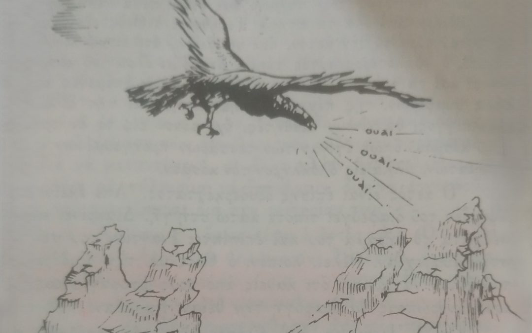 Η ΠΡΟΕΙΔΟΠΟΙΗΣΙΣ ΤΟΥ ΑΕΤΟΥ